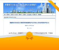 PA视讯集团游戏参与情况